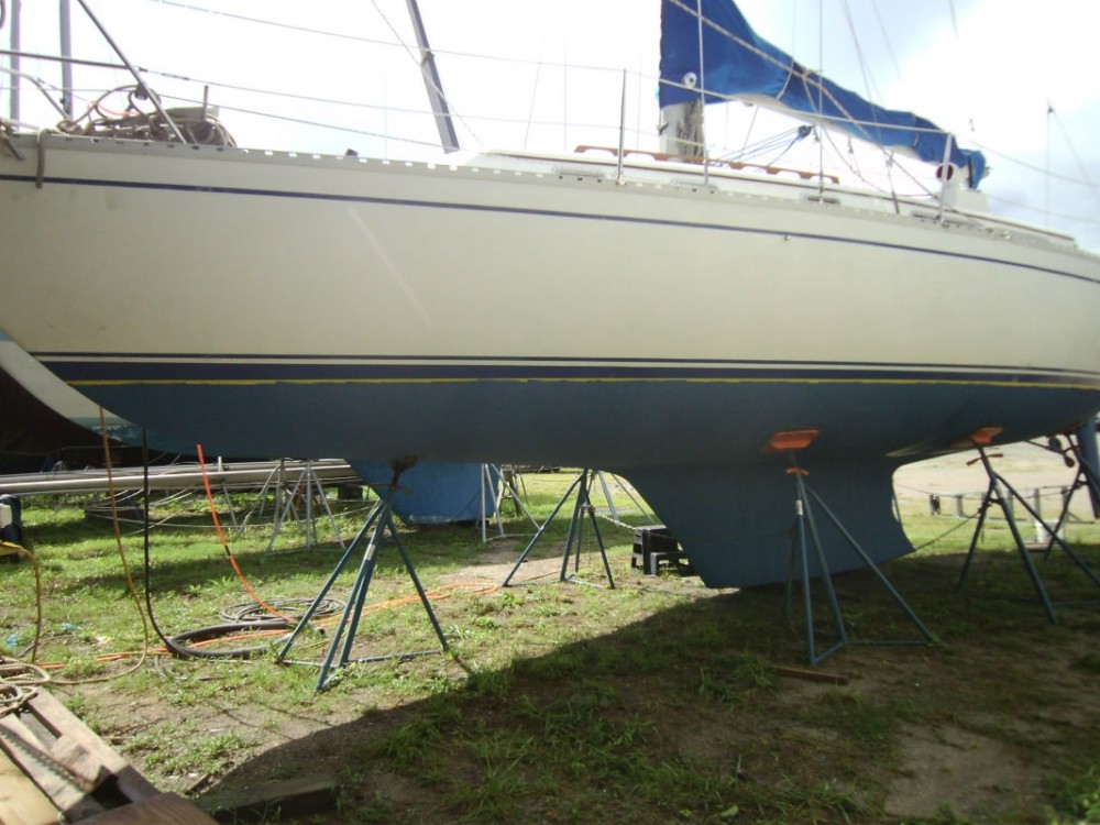 SANY0231