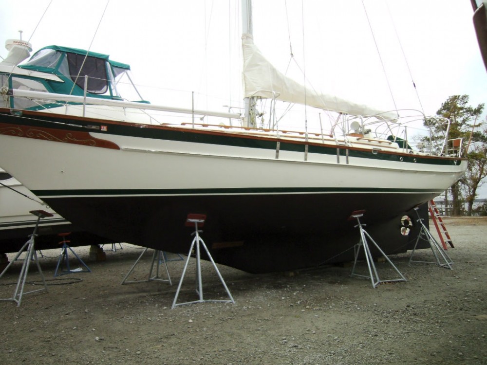 SANY0534